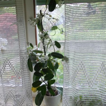 Sladki Vrh Green Oasis 게스트하우스 외부 사진